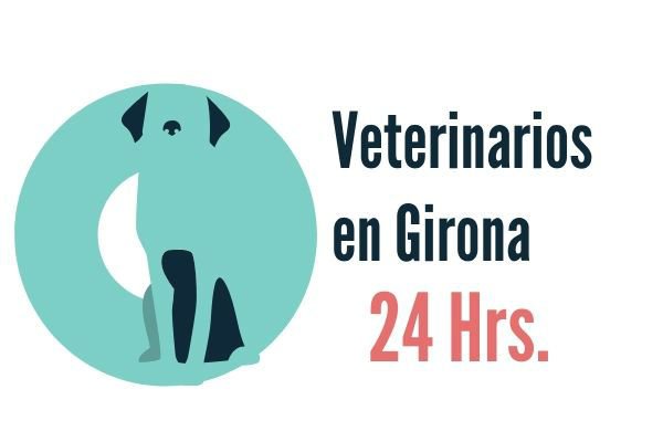 Veterinarios 24 horas en Girona