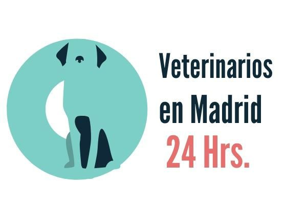 Madrid, Veterinario de Urgencias
