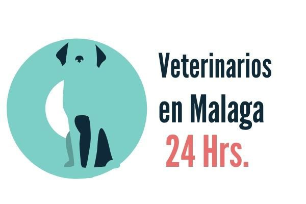 Malaga, Veterinario de Urgencias