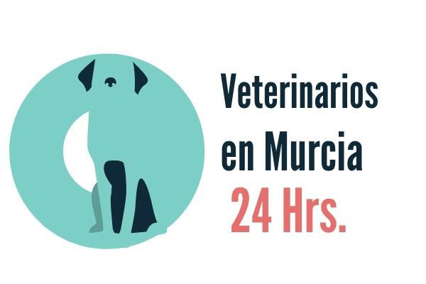Murcia, Veterinario de Urgencias