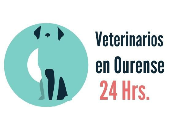 Ourense, Veterinario de Urgencias