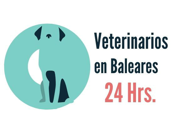 Baleares, Veterinarios Urgencias