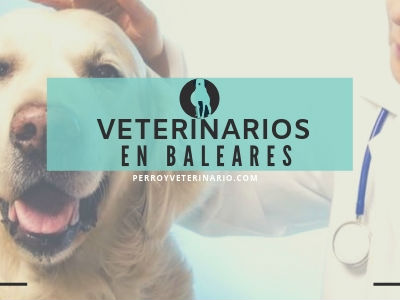Baleares, clínicas veterinarias