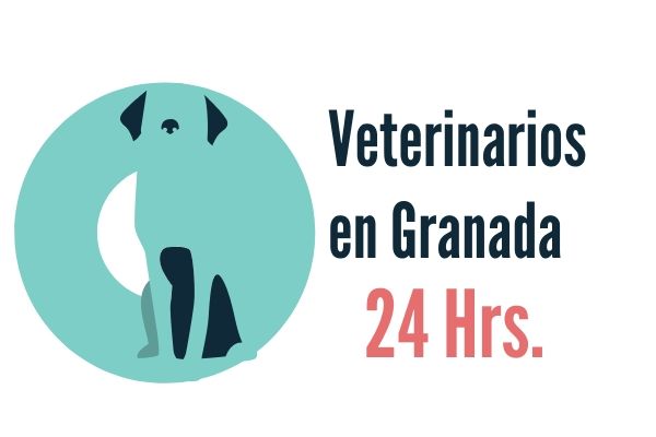 Granada, Veterinarios Urgencias
