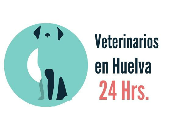 Huelva, Veterinarios Urgencias