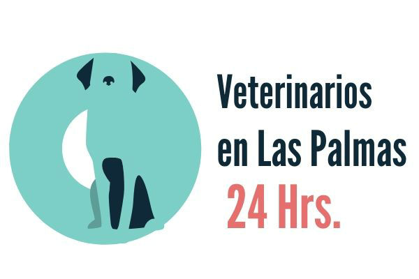 Las Palmas, Veterinarios Urgencias