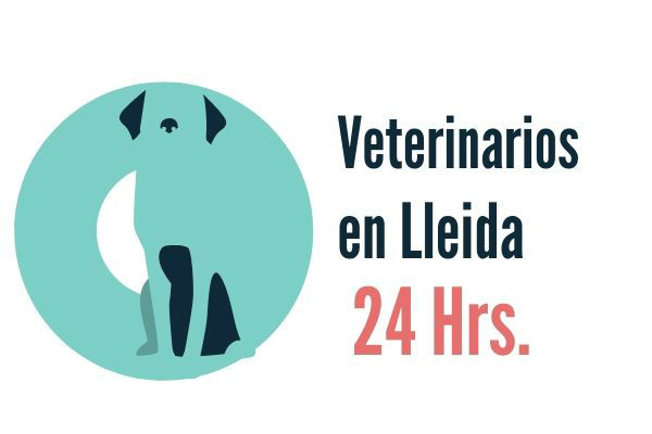 Lleida, Veterinarios Urgencias