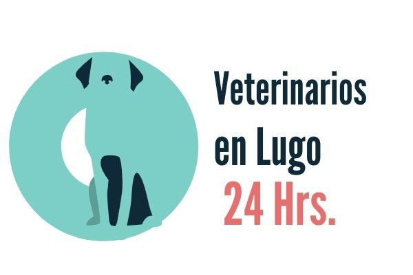 Lugo Veterinarios Urgencias