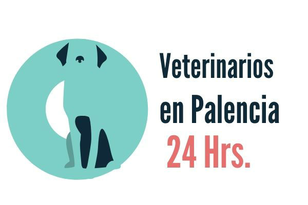 Palencia, Veterinario de Urgencias