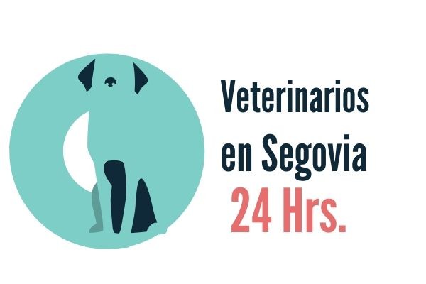 Segovia Veterinarios Urgencias