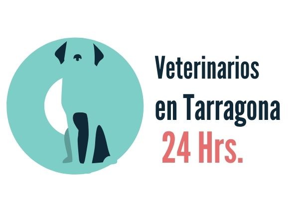 Tarragona Veterinarios Urgencias