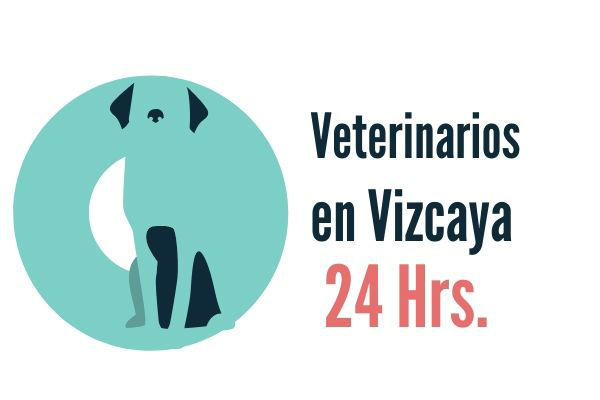 Vizcaya, Veterinarios Urgencias