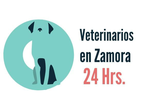 Zamora, Veterinarios Urgencias