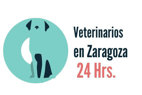 Zaragoza, Veterinarios Urgencias