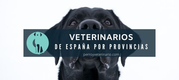 Veterinarios de España