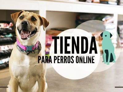 Tienda para perros online