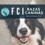 Razas Caninas FCI